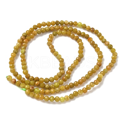 Natural Yellow Green Opal Beads Strands G-D306-A06-2mm-1