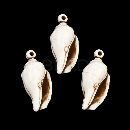 Spray Painted Opaque Acrylic Pendants ACRP-F003-03I-1