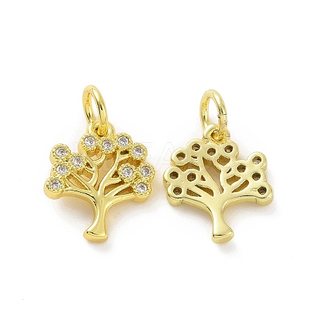 Brass Micro Pave Cubic Zirconia Charms KK-E068-VF063-1