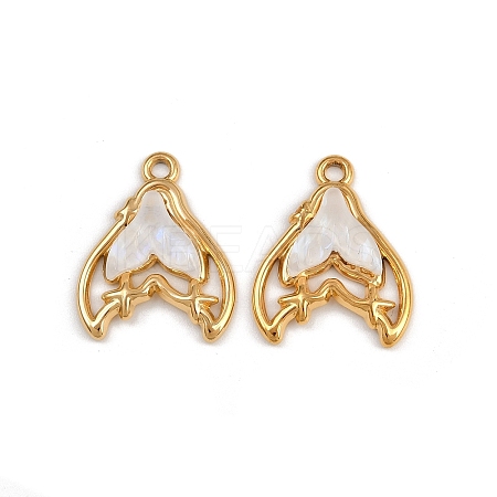 304 Stainless Steel Resin Pendants STAS-P410-10G-1