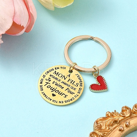 Alloy Enamel & 201 Stainless Steel Keychain KEYC-YW00101-04-1