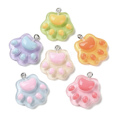 Cartoon Translucent Resin Pendants X-RESI-D071-01-1