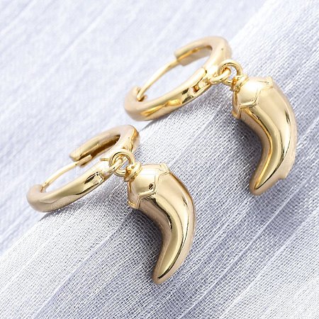 Chili Brass Hoop Earrings EJEW-Q015-17G-1