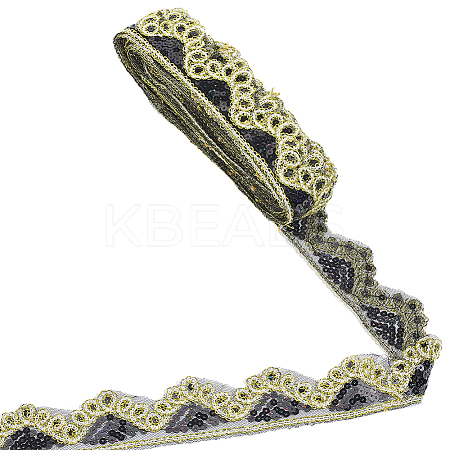 Sparkle Polyester Lace Ribbon SRIB-WH20020-049D-1