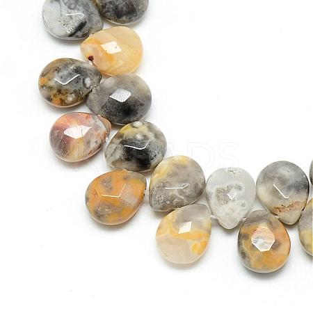 Natural Crazy Lace Agate Gemstone Beads Strands G-T006-10-1