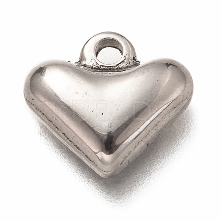 Non-Tarnish 304 Stainless Steel Charms X-STAS-H126-14P-1