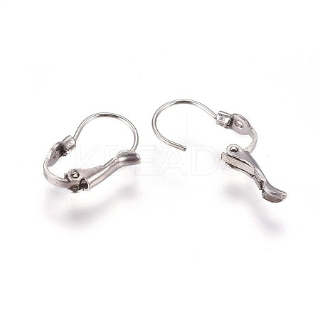 Tarnish Resistant 304 Stainless Steel Leverback Earring Findings LS-STAS-E460-04P-1