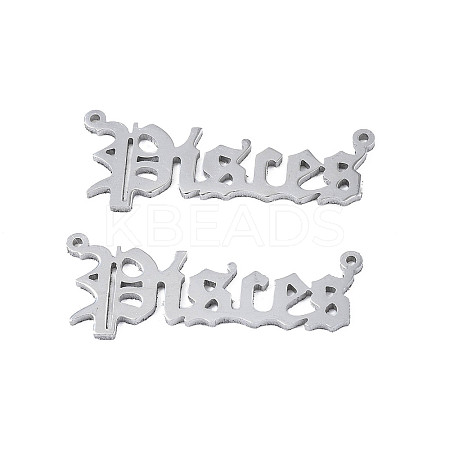 Non-Tarnish 304 Stainless Steel Connector Charms LS-STAS-N095-136E-1