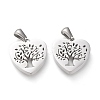 Non-Tarnish 304 Stainless Steel Pendants STAS-F253-04P-1