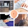 Soft Silicone Belly Button Flexible Model Body Part Displays with Acrylic Stands ODIS-WH0002-21-6