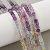 Natural Fluorite Beads Strands G-G991-C01-7