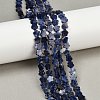 Natural Sodalite Beads Strands G-B138-C12-01-1