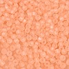 FGB Frosted Transparent Glass Seed Beads SEED-N013-02A-04-3