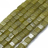 Natural Jade Beads Strands G-F631-C03-03-1