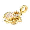 Brass Pave ABS Imitation Pearl Crab Shell Shape European Dangle Charms KK-I352-11G-3