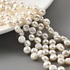 Natural Cultured Freshwater Pearl Beads Strands PEAR-A006-21-1