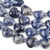 Natural Blue Spot Jasper Beads Strands G-NH0069-A08-4
