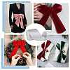 10 Yards Single Face Velvet Ribbon OCOR-WH0093-12A-6