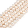 Natural Cultured Freshwater Pearl Beads Strands PEAR-I007-07Z-09C-2