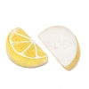 Fruit Theme Opaque Resin Imitation Food Cabochons RE-CBA49A8-03F-2