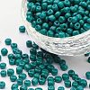 6/0 Baking Paint Glass Seed Beads SEED-OL0002-09-4mm-16-1