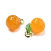 Dyed Natural Agate Orange Charms LS-G-U025-07G-3