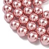 Electroplated Shell Pearl Beads Strands BSHE-G041-12mm-05-3