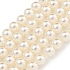 Glass Pearl Beads Strands HY-G002-01B-02-1