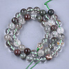 Natural Green Lodolite Quartz/Garden Quartz Beads Strands G-S333-10mm-036-2