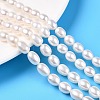 Natural Cultured Freshwater Pearl Beads Strands PEAR-N012-07U-1-1