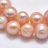 Natural Cultured Freshwater Pearl Beads Strands PEAR-F007-06A-01-X-3