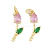 Rack Plating Brass Micro Pave Cubic Zirconia Pendants KK-R166-09G-04-1