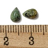 Natural African Turquoise(Jasper) Cabochons G-Q173-02A-02-3