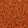Cylinder Seed Beads SEED-H001-G10-4