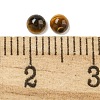 Natural Tiger Eye Cabochons G-Q173-01A-13-3