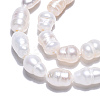 Natural Cultured Freshwater Pearl Beads Strands X-PEAR-N012-04R-5