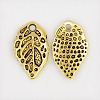 Tibetan Style Alloy Charms LS-GLF0053Y-NF-1