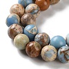 Dyed Natural Regalite/Imperial Jasper/Sea Sediment Jasper Beads Strands G-B124-C01-03-4