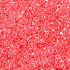 Glass Seed Beads SEED-S042-13A-07-3