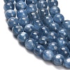 Natural Kyanite Beads Strands G-C259-B01-10mm-02-3
