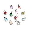 304 Stainless Steel Pendants STAS-D189-07P-C-1