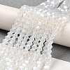 Imitation Jade Electroplate Glass Beads Strands LS-EGLA-A039-J6mm-A05-4