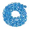 Transparent Electroplate Glass Beads Strands EGLA-N013-T10mm-B17-2