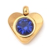 304 Stainless Steel Charms STAS-I165-05G-2