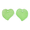 Transparent Acrylic Pendants TACR-S157-01B-3