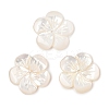 Natural White Shell Carved Beads SSHEL-I026-12F-07-1