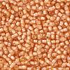 TOHO 11/0 Round Beads X-SEED-TR11-0391-2