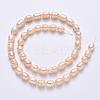Natural Cultured Freshwater Pearl Beads Strands PEAR-R064-19-3