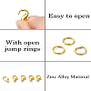 DIY Jewelry Making Finding Kit DIY-YW0009-22G-4
