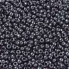 TOHO 6/0 Round Beads SEED-TR06-0090-3